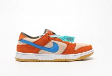 Nike SB Dunk Low Pro Color货号：BQ6817-201