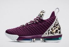 戴安娜·陶乐西专属全新的 Nike LeBron 16 PE