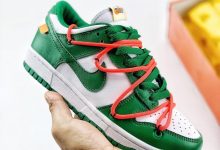 OFF-WHITE x Futura x Nike Dunk Low 三方联名货号：CT0856-100