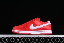 Nike Dunk Low GS 